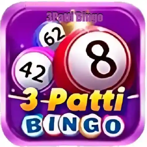 3 Patti Bingo